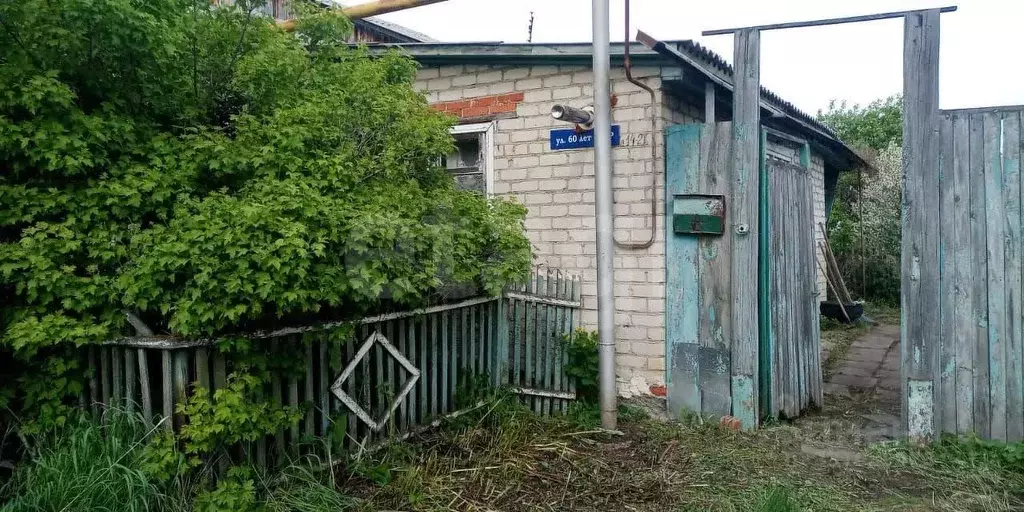 Дом в Челябинская область, Красноармейский муниципальный округ, с. ... - Фото 1