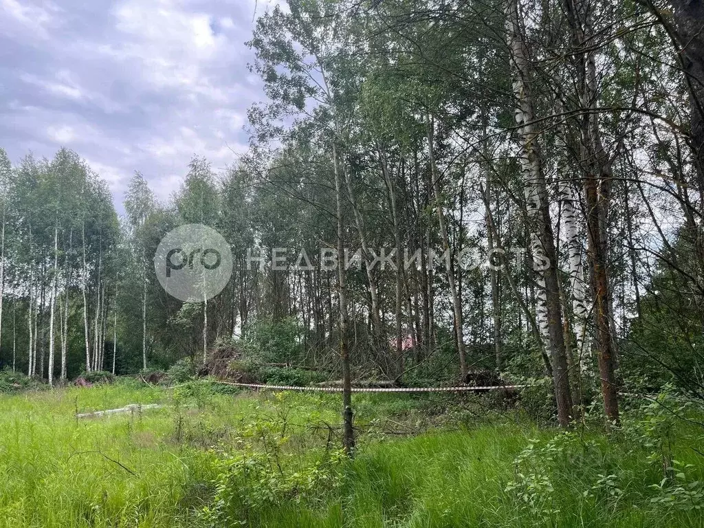 Участок в Рязанская область, Рязанский район, Дубровическое с/пос, д. ... - Фото 1