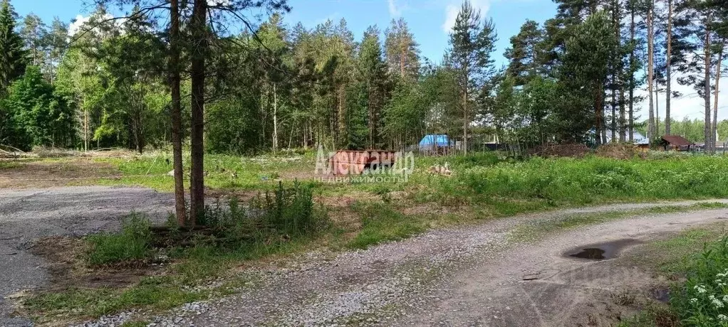 Участок в Ленинградская область, Приозерский район, Ларионовское ... - Фото 1