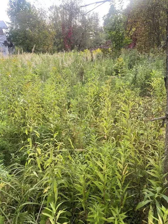 Дом в Московская область, Рузский муниципальный округ, Буденовец СНТ  ... - Фото 2