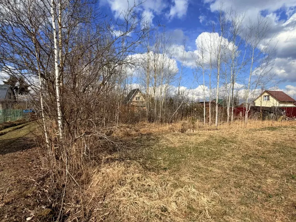 Участок в Ленинградская область, Тосненский район, Трубникоборское ... - Фото 2