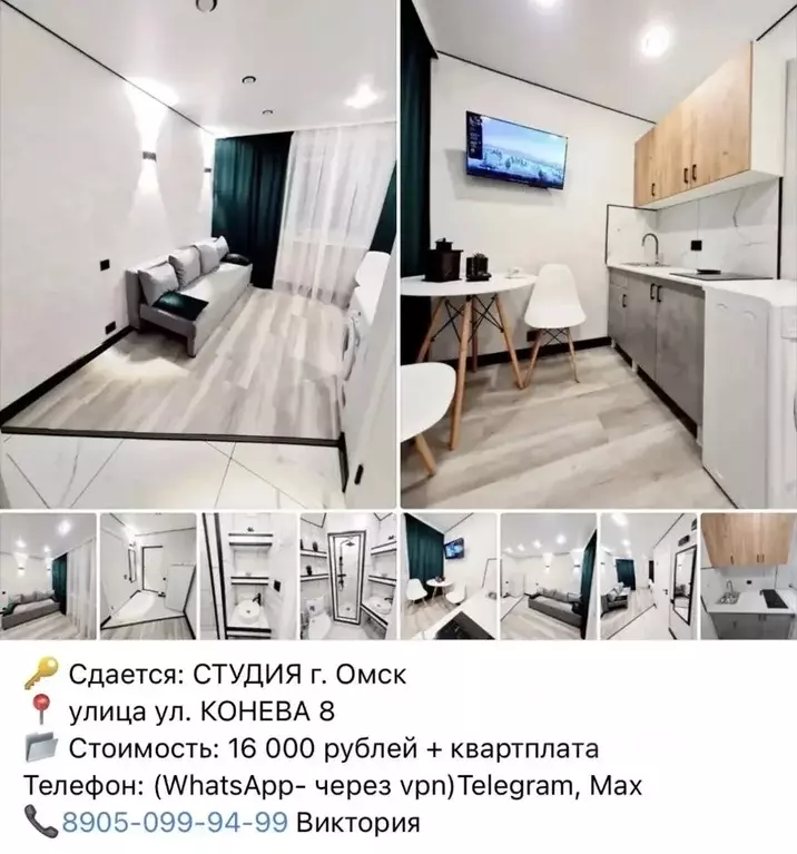 Студия Омская область, Омск ул. Конева, 8 (40.0 м) - Фото 1