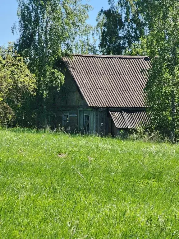 Дом в Псковская область, Островский район, Бережанская волость, д. ... - Фото 0