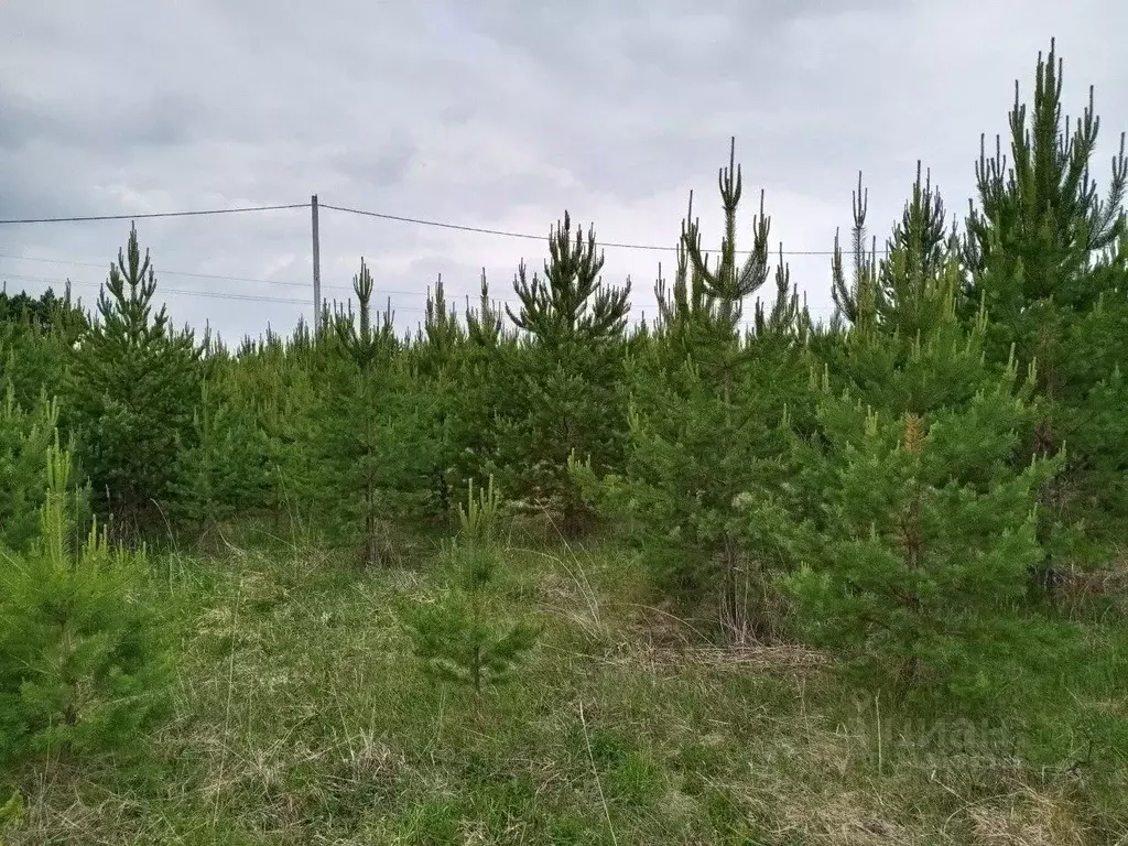 Участок в Свердловская область, Екатеринбург Зеленые Просторы ДНТ,  ... - Фото 0