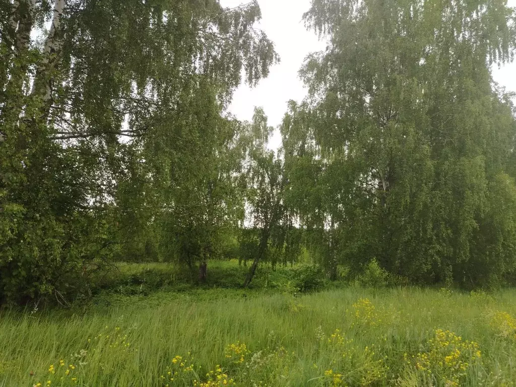 Участок в Нижегородская область, Богородский муниципальный округ, ... - Фото 1