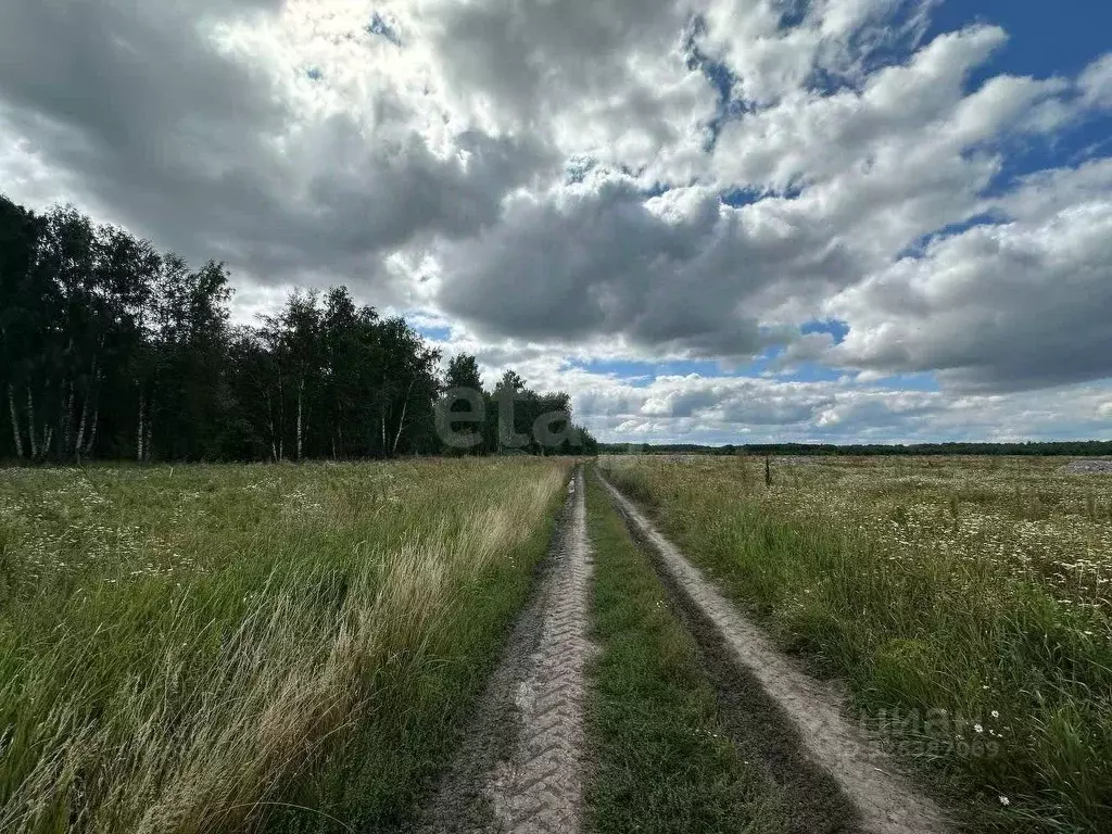 Участок в Тюменская область, Тюменский муниципальный округ, ... - Фото 1