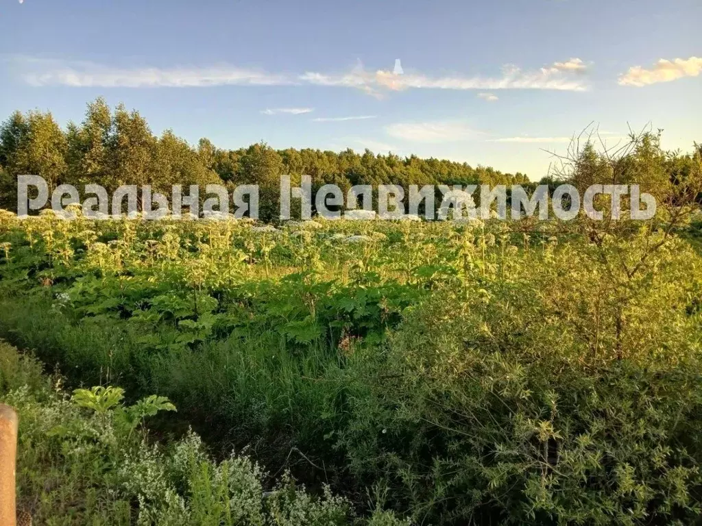 Участок в Московская область, Талдомский городской округ, д. Пенкино  ... - Фото 2