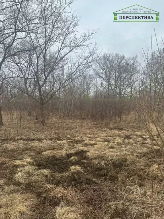 Участок в Приморский край, Артемовский городской округ, с. Ясное ул. ... - Фото 1