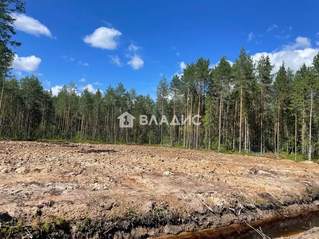 Участок в Коми, Корткеросский муниципальный район, Корткерос ... - Фото 2