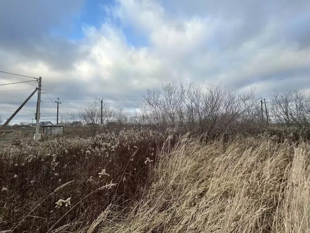 Участок в Калининградская область, Калининград Родник СНТ, ул. ... - Фото 2