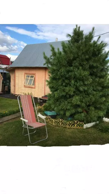 Дом в Новосибирская область, Колыванский район, Обские Просторы СНТ ... - Фото 2