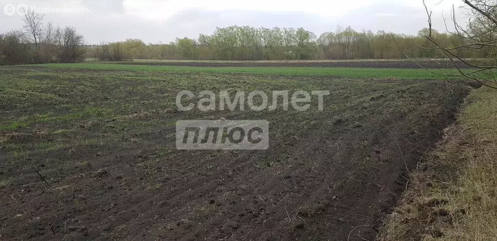 Участок в Грязи, Берёзовая улица (12 м) - Фото 1