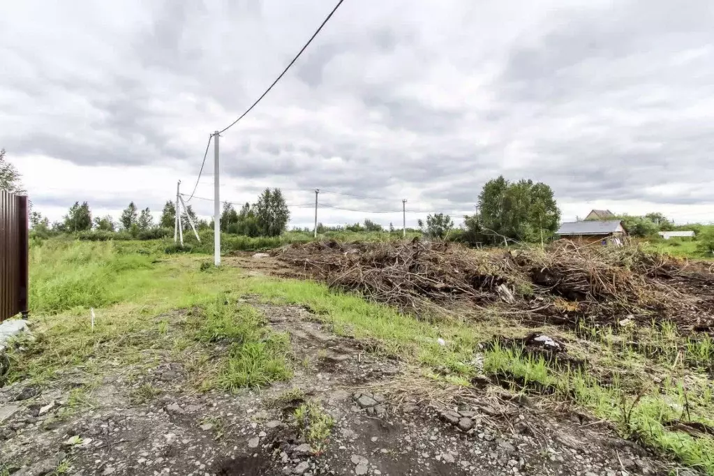 Участок в Тюменская область, Тюмень Садовое товарищество Липовый ... - Фото 1