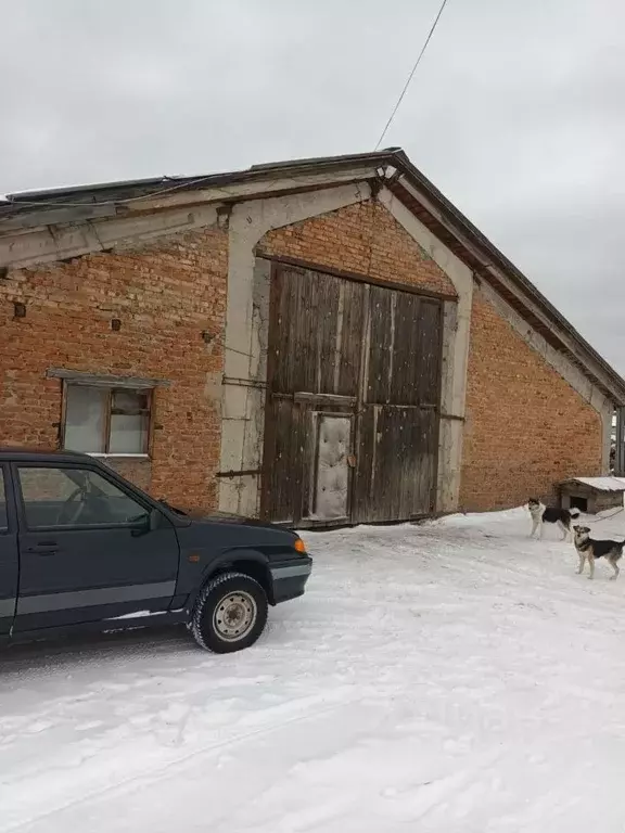 Производственное помещение в Омская область, с. Седельниково ул. ... - Фото 0