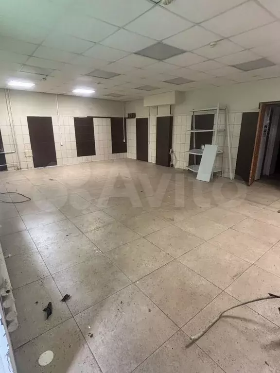 Свободного назначения, 80 м - Фото 0