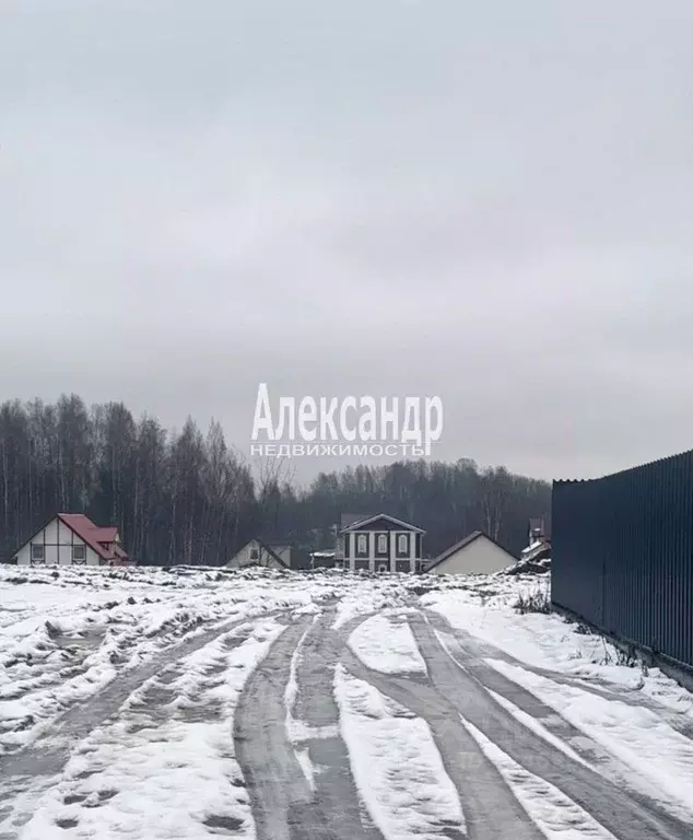 Участок в Ленинградская область, Всеволожский район, Бугровское ... - Фото 2