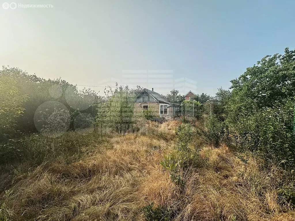 Участок в Таганрог, СНТ Работник Просвещения (6 м) - Фото 2