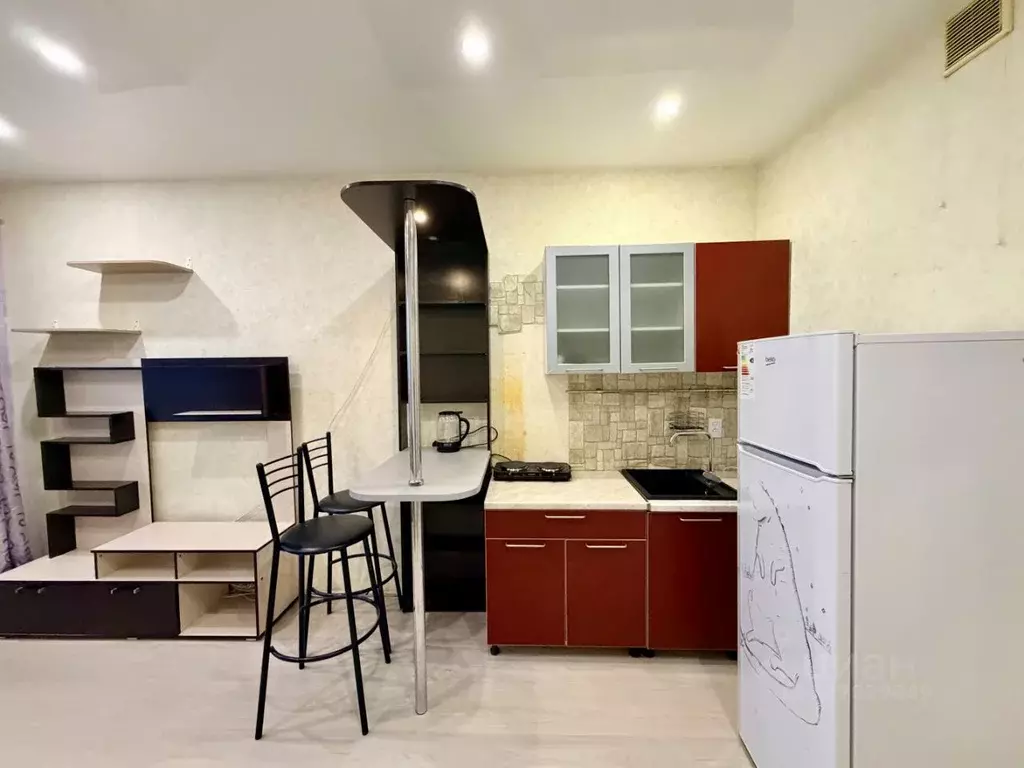 Студия Санкт-Петербург пос. Шушары, пер. Вилеровский, 6 (23.5 м) - Фото 1