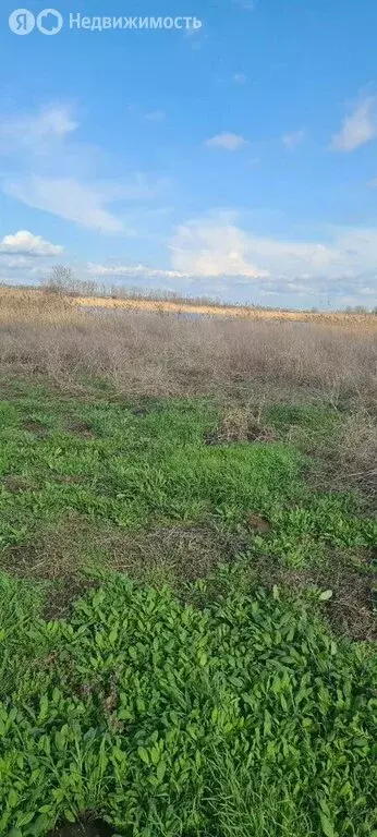 Участок в Новотитаровское сельское поселение, хутор Осечки, 37/4 (7 м) - Фото 1