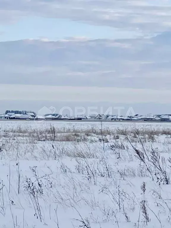 Участок в Тюменская область, Тюменский район, с. Горьковка  (6.7 сот.) - Фото 0