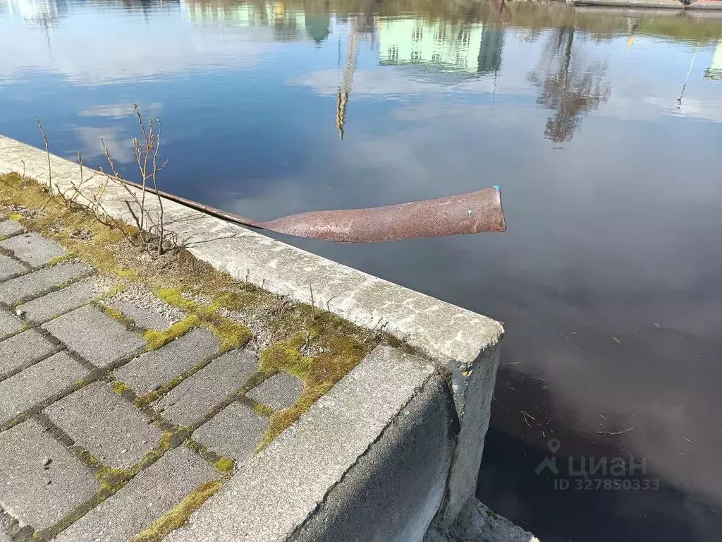 Помещение свободного назначения в Вологодская область, Белозерск наб. ... - Фото 1
