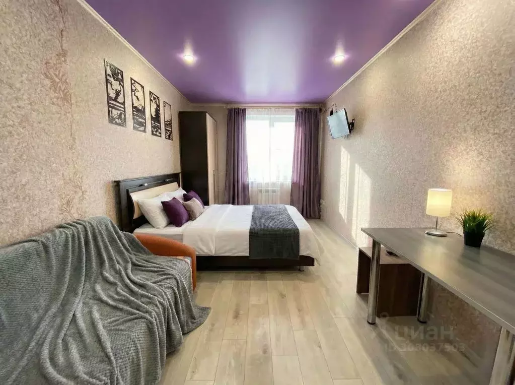 Студия Саратовская область, Саратов Огородная ул., 157 (28.0 м) - Фото 2