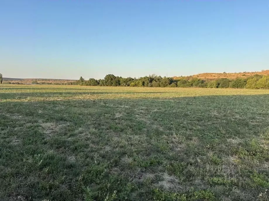 Участок в Крым, Белогорский район, Зуйское с/пос, с. Литвиненково ул. ... - Фото 1