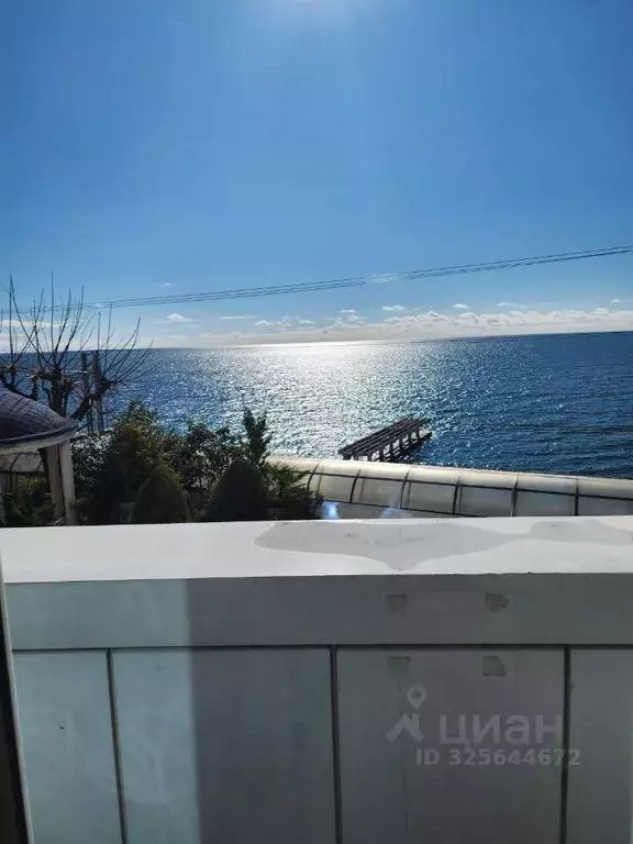 Свободной планировки кв. Краснодарский край, Сочи Курортный просп., ... - Фото 2