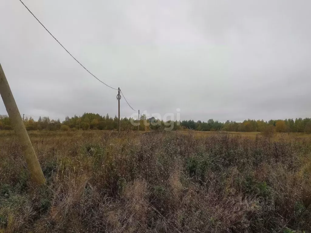 Участок в Вологодская область, Шекснинский район, д. Нифантово  (12.1 ... - Фото 1