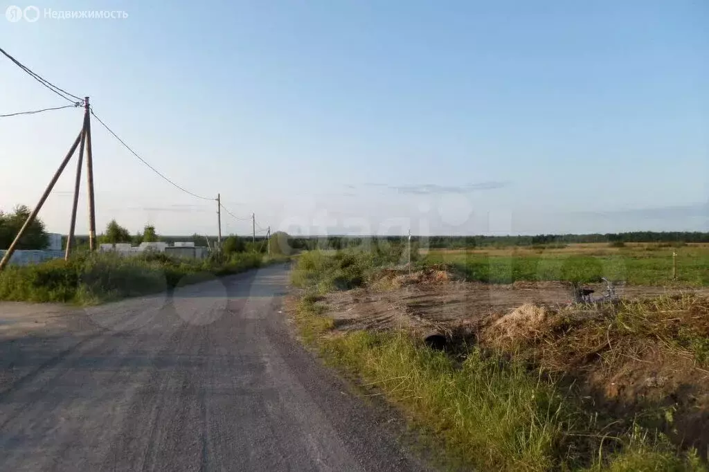 Участок в Вологодская область, Череповецкий муниципальный округ, ... - Фото 2