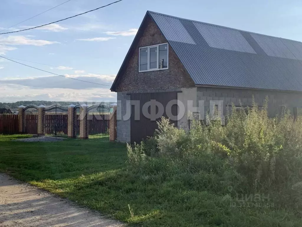 Участок в Новосибирская область, Колыванский район, д. Чаус ул. ... - Фото 0