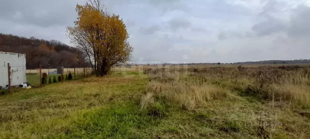 Участок в Московская область, Кашира городской округ, д. Терново-2 ул. ... - Фото 2