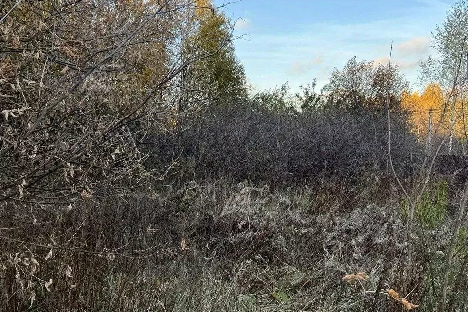 Участок в Москва д. Зименки, 14 (41.4 сот.) - Фото 1