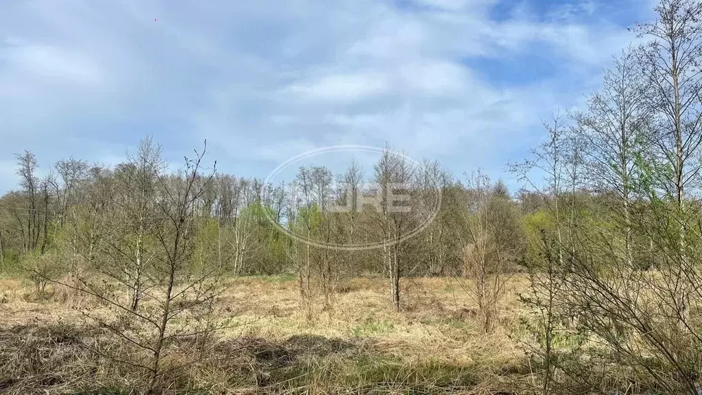 Участок в Калининградская область, Ладушкин  (8.0 сот.) - Фото 0
