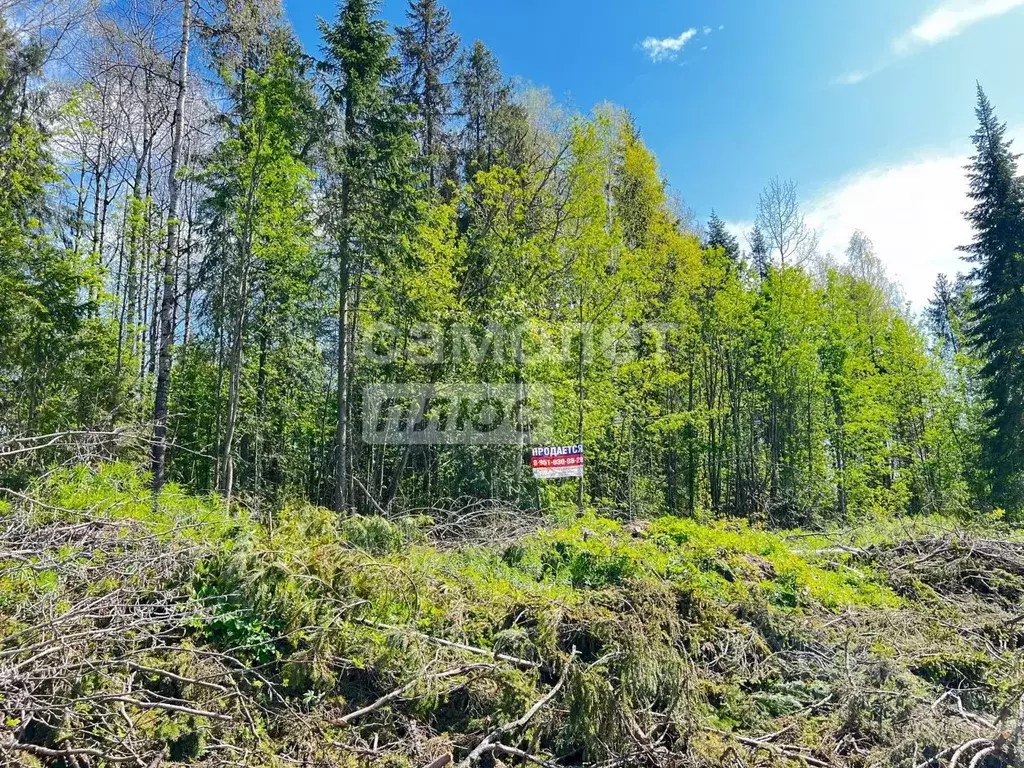 Участок в Пермский край, Березники ул. Окольная (9.18 сот.) - Фото 1