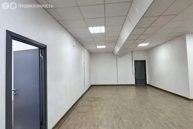 Офис (76.2 м) - Фото 1