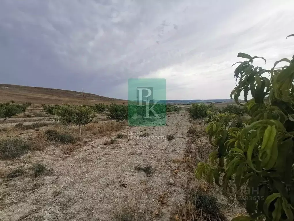 Участок в Крым, Бахчисарайский район, Железнодорожненское с/пос, с. ... - Фото 1