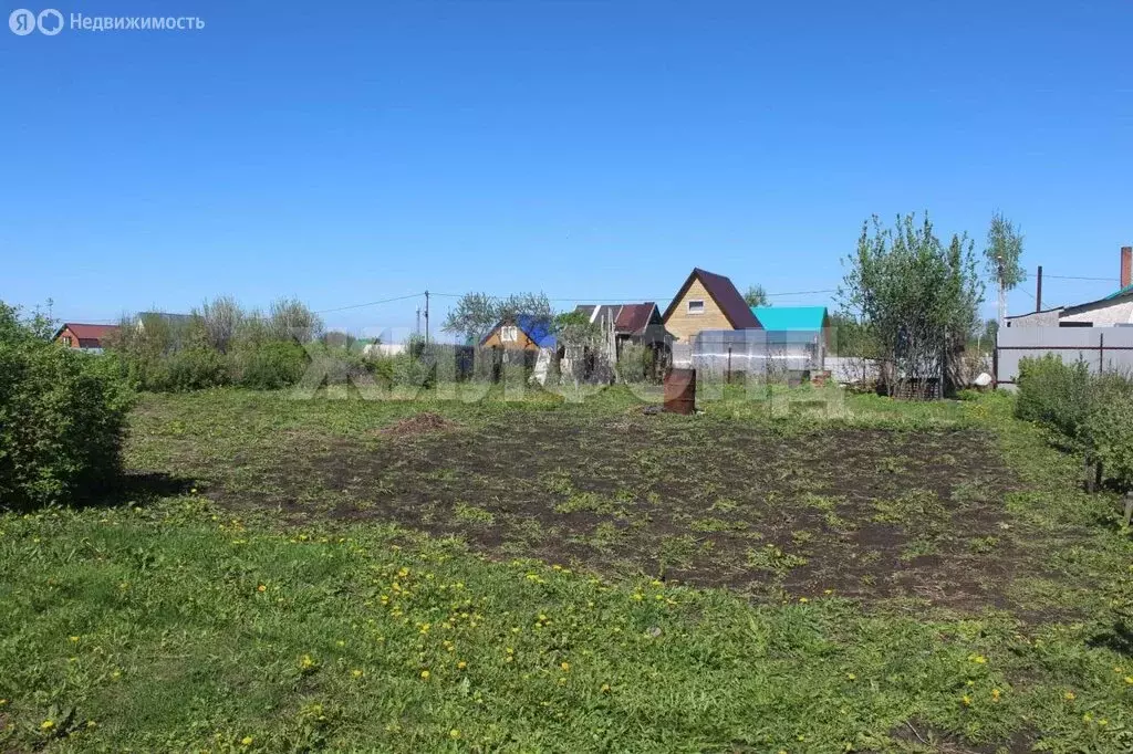 Участок в Бердск, СНТ Марьин Лог (6.13 м) - Фото 1