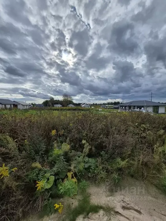 Участок в Калининградская область, Гурьевский муниципальный округ, ... - Фото 1