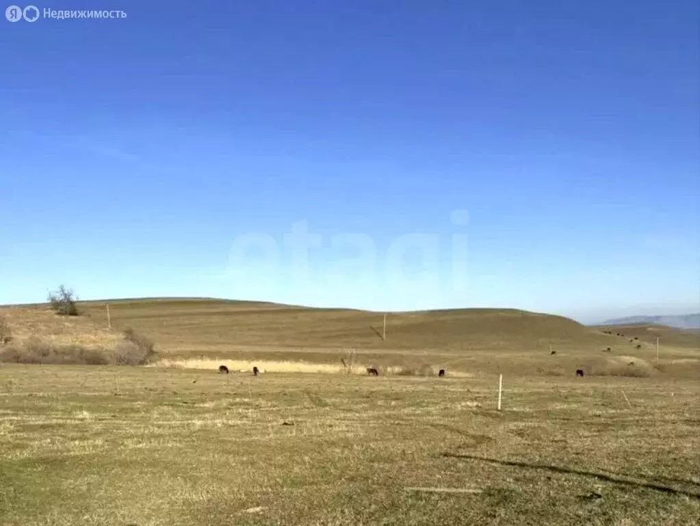 Участок в Краснокурганское муниципальное образование, поселок ... - Фото 2