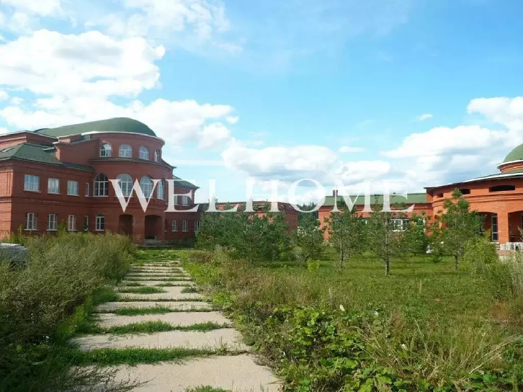 Продается дом в д. Тимошкино - Фото 2