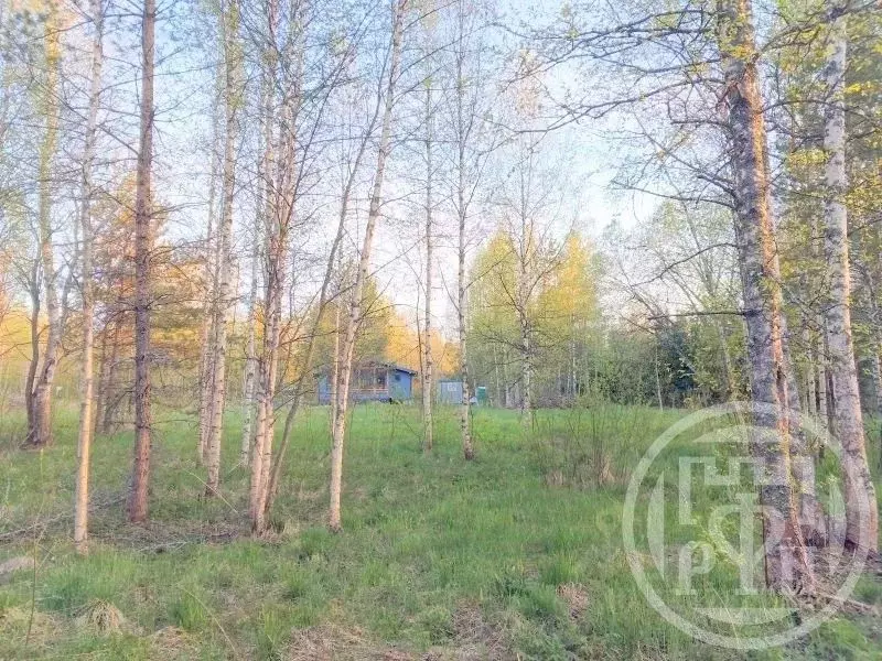 Участок в Ленинградская область, Выборгский район, Красносельское ... - Фото 1