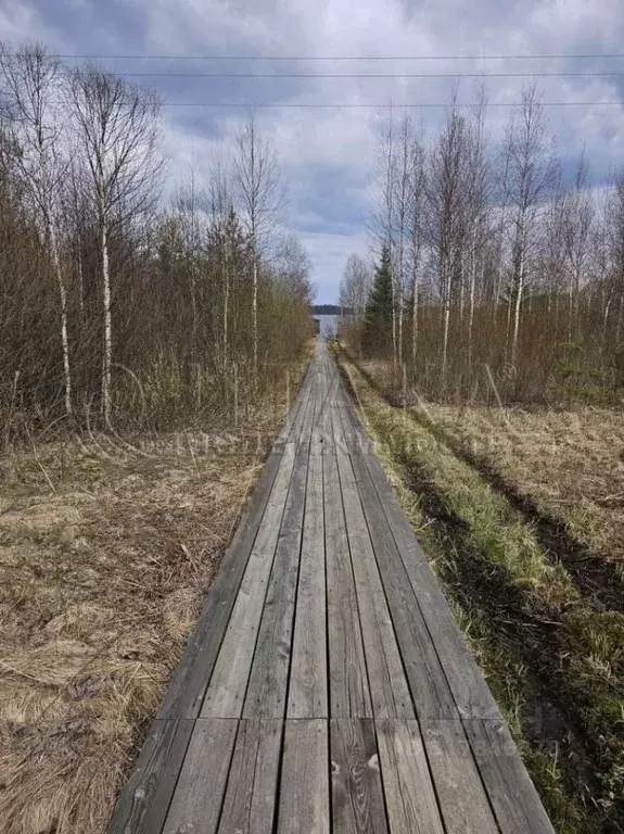 Участок в Ленинградская область, Подпорожский район, Винницкое с/пос, ... - Фото 1