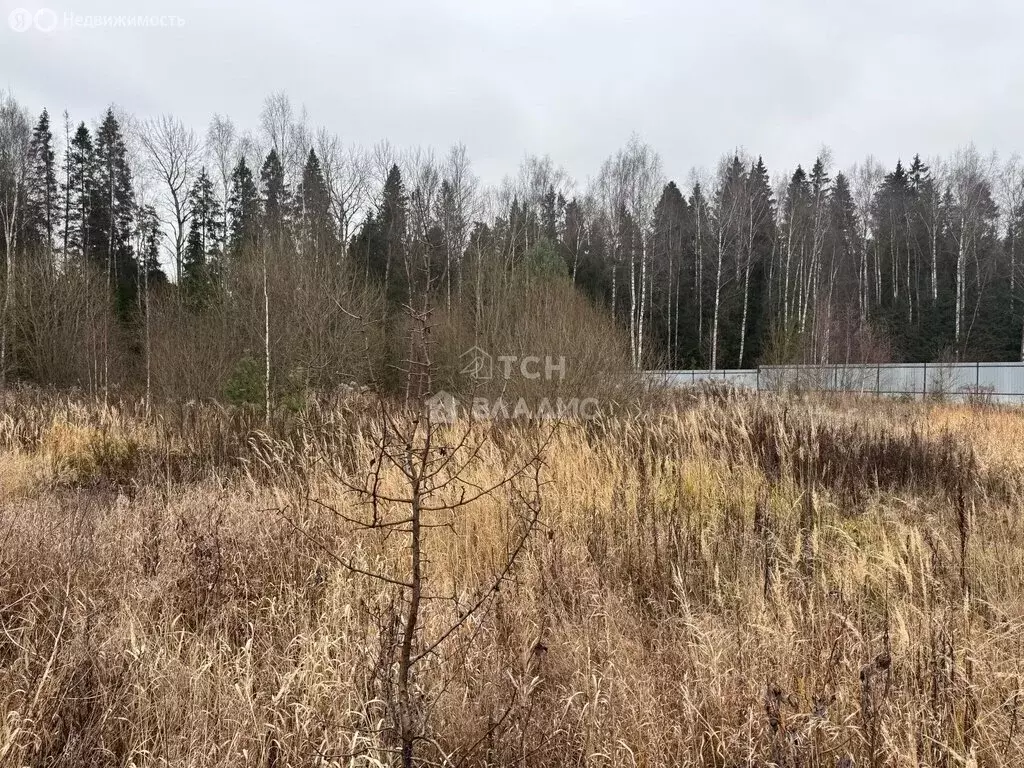 Участок в Московская область, городской округ Щёлково, КП Медвежье ... - Фото 2