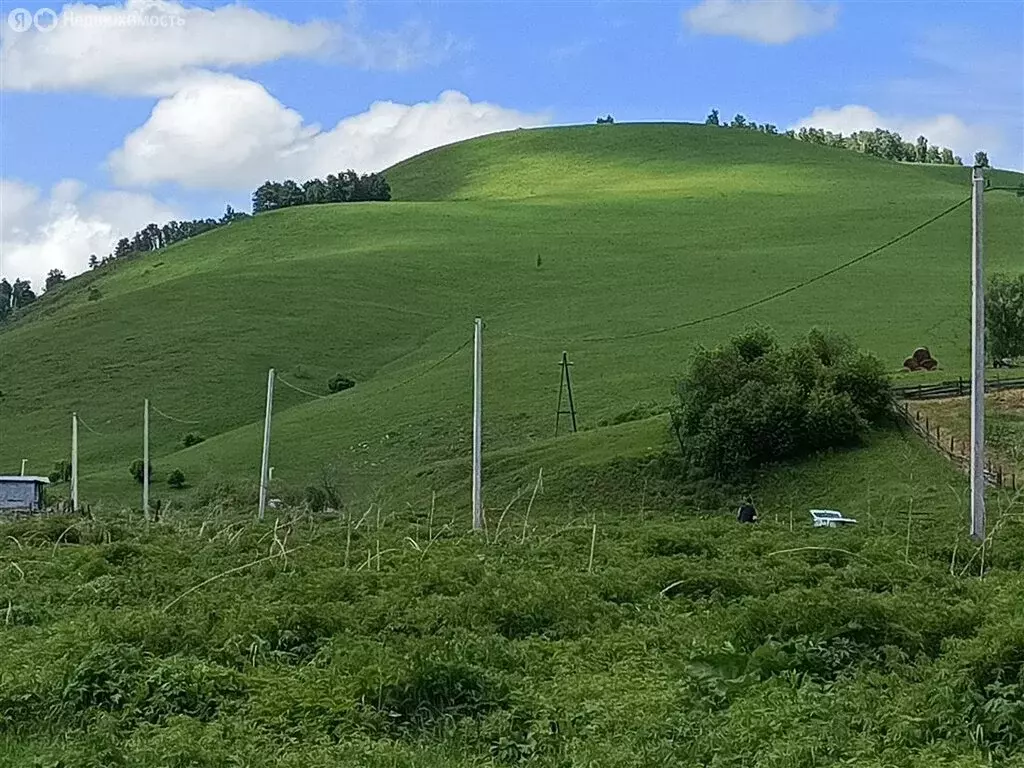 Участок в Алтайский район, село Нижнекаянча (15 м) - Фото 0
