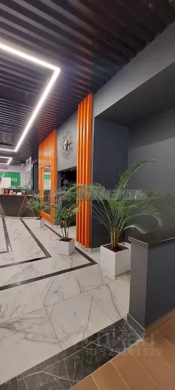 Студия Московская область, Одинцовский городской округ, Новоивановское ... - Фото 0