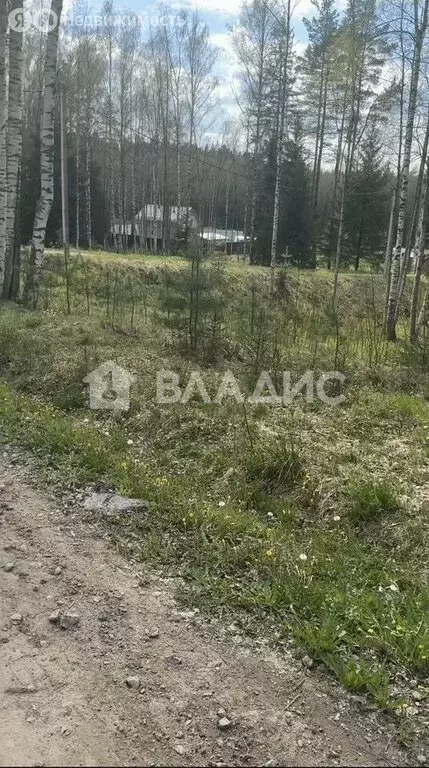 Участок в Сарженка, ДНП Лесной Хутор (10 м) - Фото 0