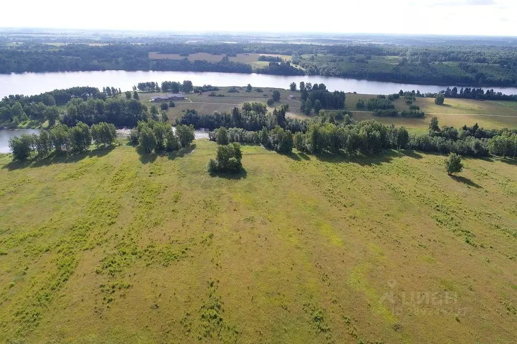 Участок в Тверская область, Зубцовский муниципальный округ, д. Борщево ... - Фото 2