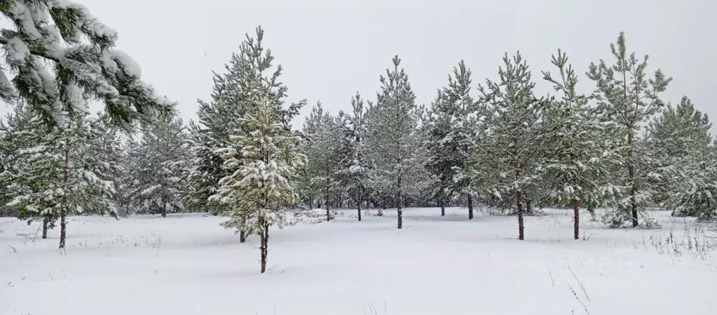 Участок в Самарская область, Сызранский район, с. Рамено  (10.0 сот.) - Фото 0