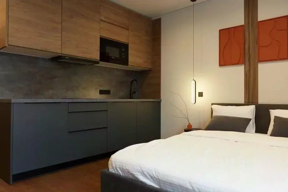 1-к кв. Санкт-Петербург Херсонский проезд, 6 (25.0 м) - Фото 2